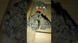 Video 50