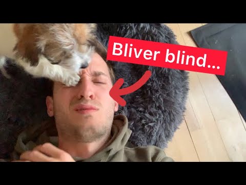 Laver mad og får en pote lige i øjet 😳