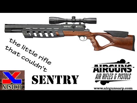 Reviewing the Xisico Sentry 702 - The little airgun that couldn't