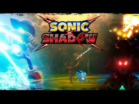 How A Literal Child Made A Sonic Anime