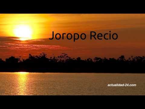 Joropo Recio | Instrumental