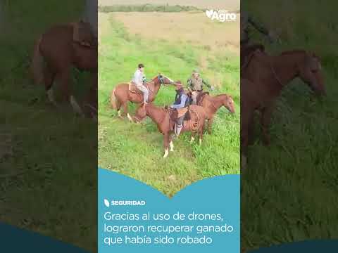 🔥🐄 DRONES + RASTRILLAJES: ASÍ RECUPERARON HACIENDA ROBADA EN CORRIENTES 🚨