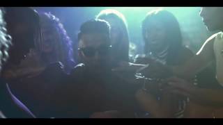 DAPPY-ANIMALS. (Martin Garix remix)