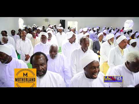 The most extremely akurinu pure Morning songs ever seen