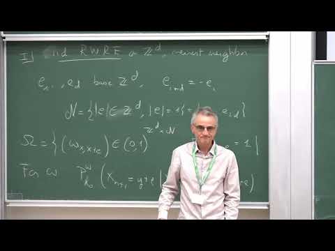 Prof. Christophe Sabot | The point of view of the particle for 2D random walks in Dirichlet...