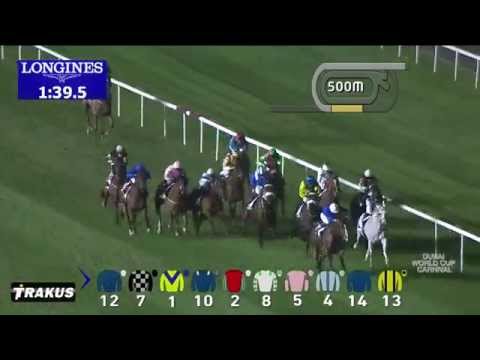12.02.2015 Meydan (Dubai/UAE) 2.Race The Jaguar F Type Trophy - Handicap 2.000 m
