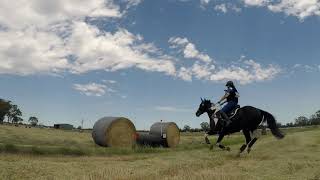 Rider 82 Steph Cooper Riding BLUE THUNDER EvA 80 Naracoorte Horse Trials 2020