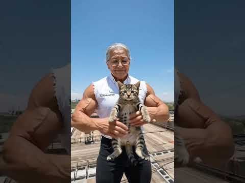 Ay mi gatito miau miau #humor #memes #gatos #parati #fyp