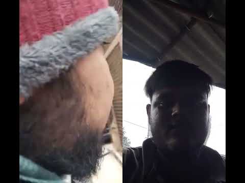 help dog#video #viral #youtube #uttam #animals @UttamBranwal8825