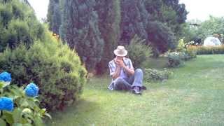 Fullmetal Alchemist - Koukai (Harmonica)