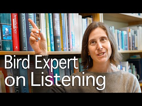Bird Expert on Listening to Birds and Ornithology