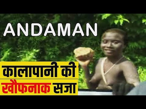 ANDAMAN & Nicobar Island | Meet Tribal Jarawa | Havelock | Rangat | Mayabunder | Diglipur |Portblair