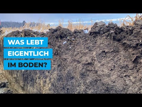 Was lebt eigentlich im Boden? Soil Food Web