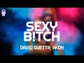David Guetta Akon Sexy B Tch Lyrics