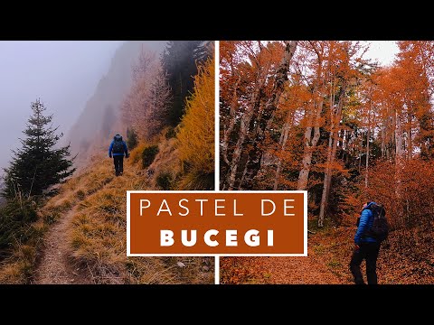 Singur toamna prin Bucegi - Piciorul Pietrei Arse și Poteca Regală