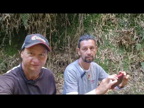 Uma gruta encantadora na beira da BR 116 em Mafra SC 