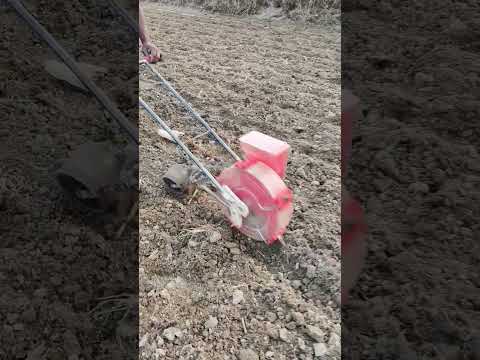 আমার আব্বা ভুট্টা লাগাইতাসে #india #bird #reels #farming #farmingtraditions