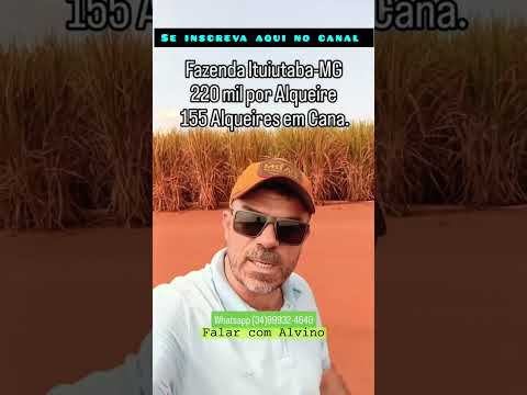 Fazenda em Ituiutaba MG com 155 alqueires #brasil #agro #fazenda #mercadoagricola #ituiutaba