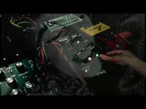 Flux Cluster: 2 x Moog Mother 32 and an MF-108M 