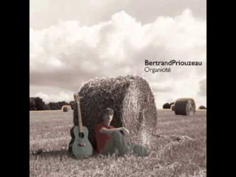Bertrand Priouzeau - Tous mes travers