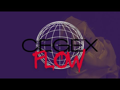 MERBIS - CEGEX FLOW