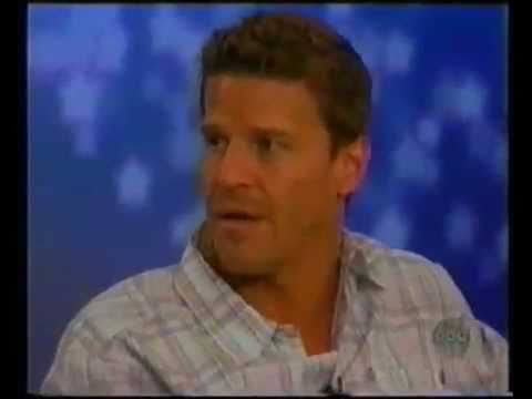 Bones - 2x20 -David Boreanaz on The View