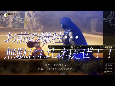 真女神転生Ⅴ　実況YouTuberあしずり　ケットシーと漫才コンビを結成　ていうかカワイイ過ぎかよ！　【悪魔会話】 #Shorts