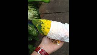 IMG 16551