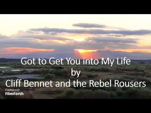 Cliff Bennet and the Rebel Rousers - Got to Get You into My Life