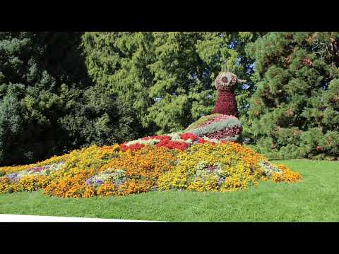 Urlaub mit Hund am Bodensee ‑ Ferienwohnung Sylvia & Oliver Schön am Bodensee