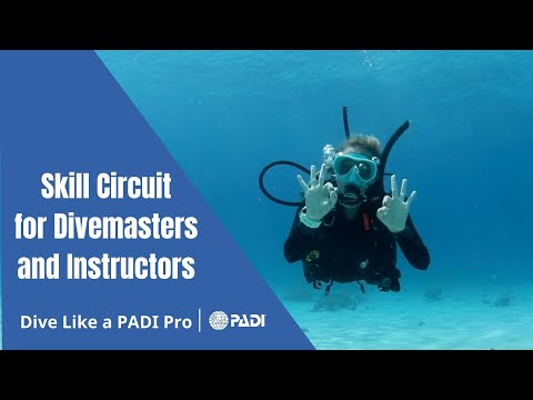 PADI Divemaster & Instructor (IDC) Skill Circuit - Neutrally Buoyant