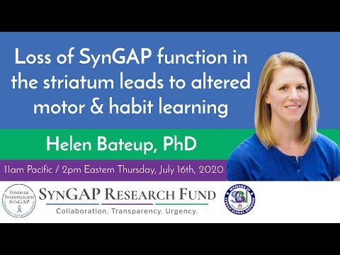 SynGAP Research Fund - Helen Bateup - Webinar on Syngap - #SYNGAP1 #SRFWebinar