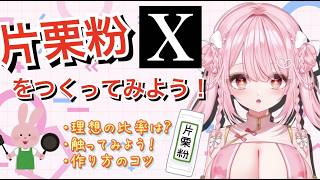 片栗粉Ｘをつくろう！！…としたはずなのになんか精製してたw