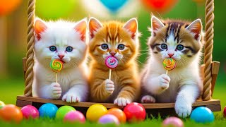 Download lagu Kalau Kau Suka Hati Tepuk Tangan ❤️ Lagu Anak Indonesia Viral Terbaru mp3