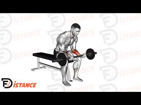 Curl poignets assis à la barre droite - Exercice Curl poignets assis à la barre droite en vidéo