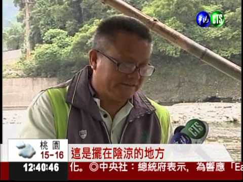 綠色博覽會開鑼 快來體驗種菜趣!