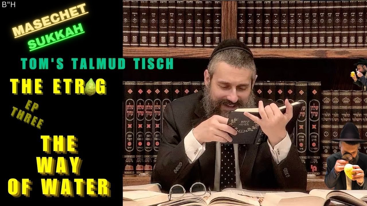 "The Way of Water" ~ TOM’S TALMUD TISCH: The Etrog, Part Three. Masechet Sukkah, Chap. 3, Page 35a thumbnail
