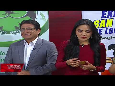 📺 Del Cantón a la TV | San Miguel de los Bancos  /  26/12/2025