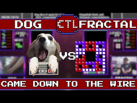 [Close Decider Finish!] CTL Season 14 - Dog vs. Fractal