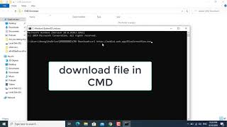 Download File in Command line | Windows 10