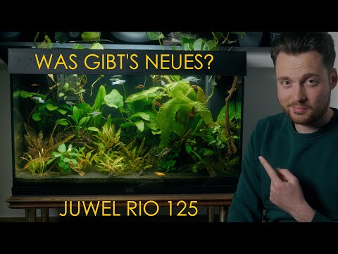 Neue Fische für mein Juwel Rio 125 Aquarium