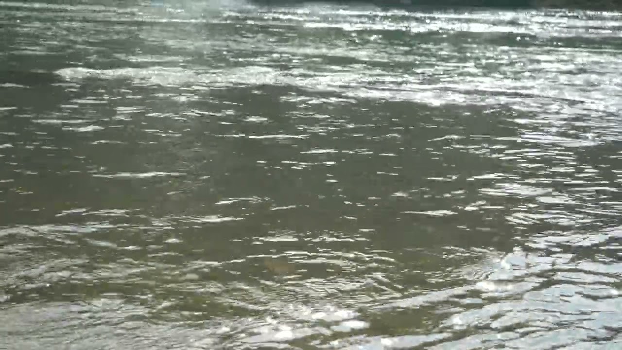 Flood waters free Stock videos #noncopyright without watermarks