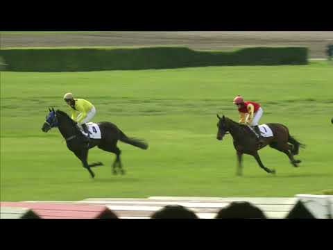 PE, 25. 5. 2019, 5. dostih - Cena za podpory společnosti YVENTECH s.r.o.