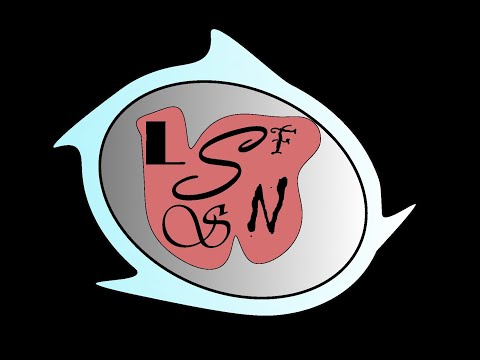 Установка прошивки Skyzone04x v 1, v 2; SteadyView Receiver + calibration