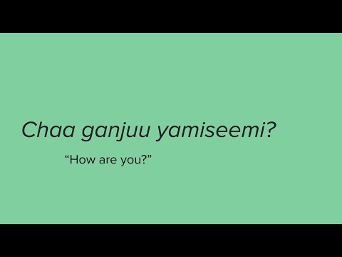 Let's speak uchinaaguchi! - Chaa ganjuu yamiseemi?