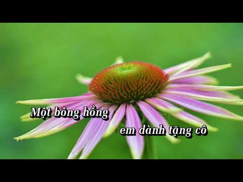 Karaoke Thầy Cô Cho Em Mùa Xuân  Beat chuẩn