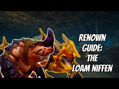 THE BEST WAYS TO RAISE YOUR RENOWN & WHY YOU SHOULD: LOAMM NIFFEN: WORLD OF WARCRAFT