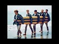 The Rocking Surfer- The Beach Boys