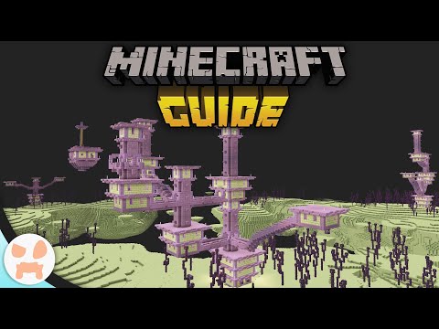TRIPLE END CITY! | Minecraft Guide - Minecraft 1.17 Tutorial Lets Play (169)
