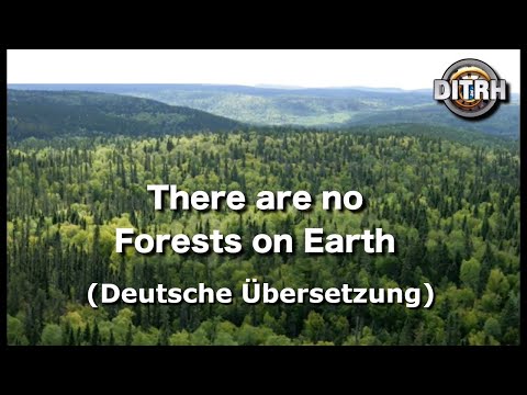 Es gibt keine Wälder auf der Erde!